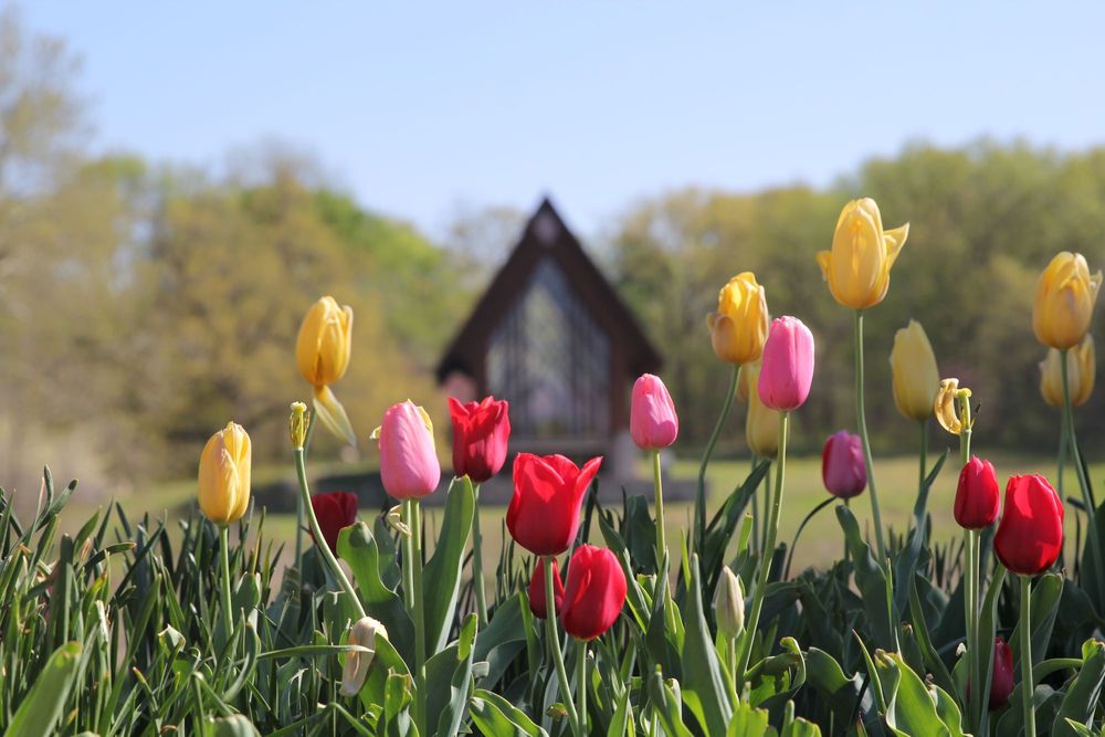 A Day Trip to Remember: Visiting Powell Gardens Near Warrensburg, MO