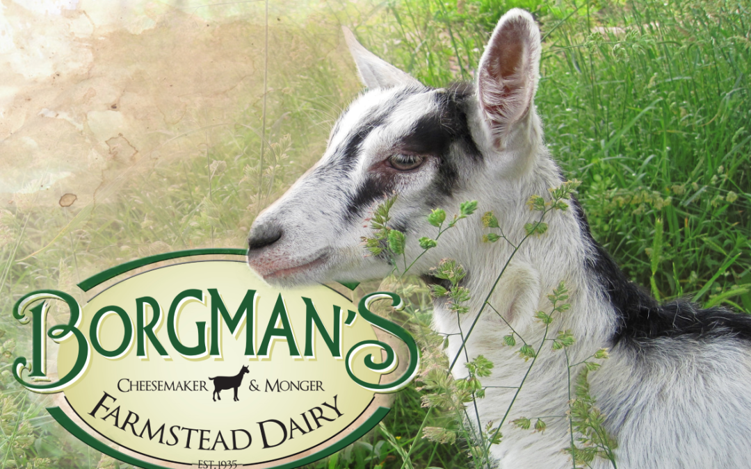 The Story of Borgman’s Dairy Farm: Nurturing Nature and Community in Missouri