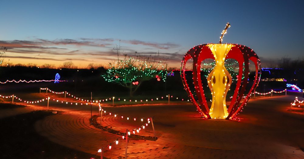 Experience the Magic: Evergy Festival of Lights at Powell Gardens